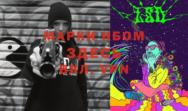 сатива Верея