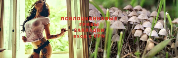 дмт Пестово
