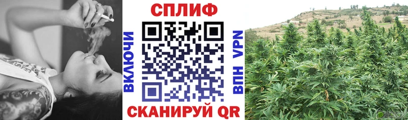 где купить наркоту  Карабулак  кракен   МАРИХУАНА семена 